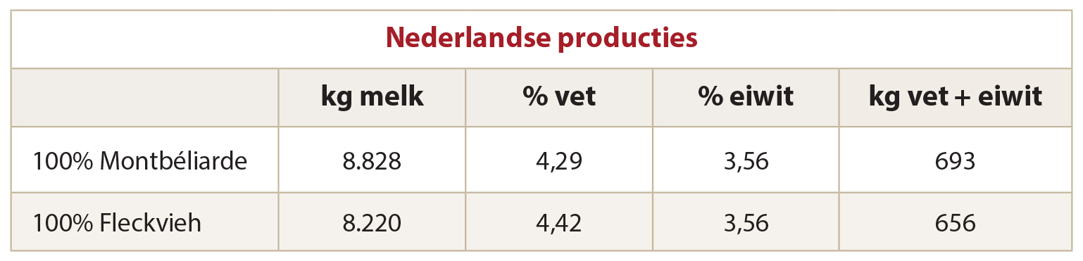 MB_NL_Producties
