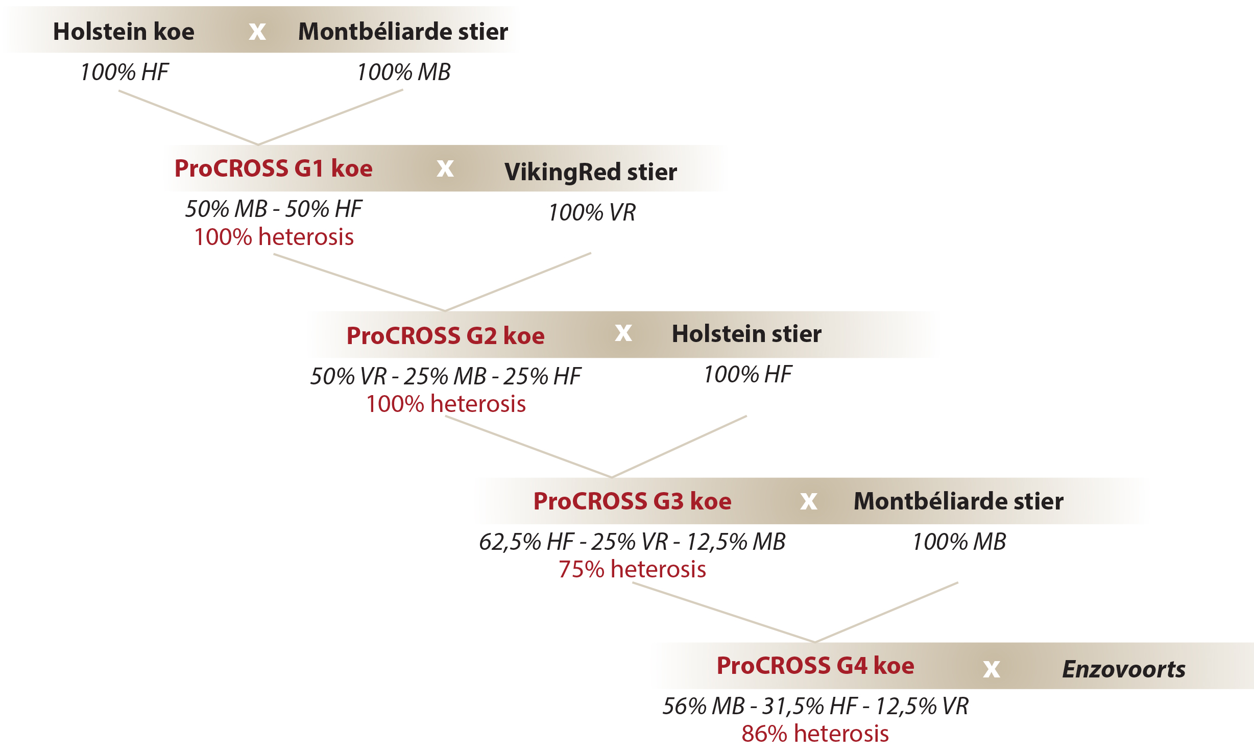 Procross_kruisingsschema