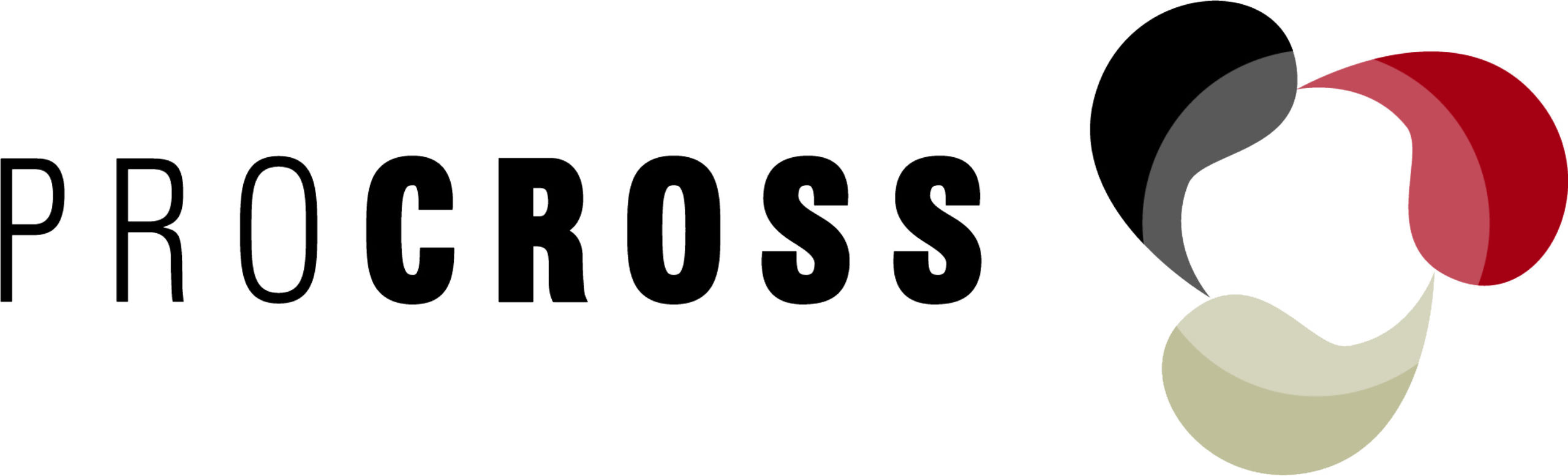 Procross_vector_payoff_VikingRed_300dpi_Met_Rasafkortingen