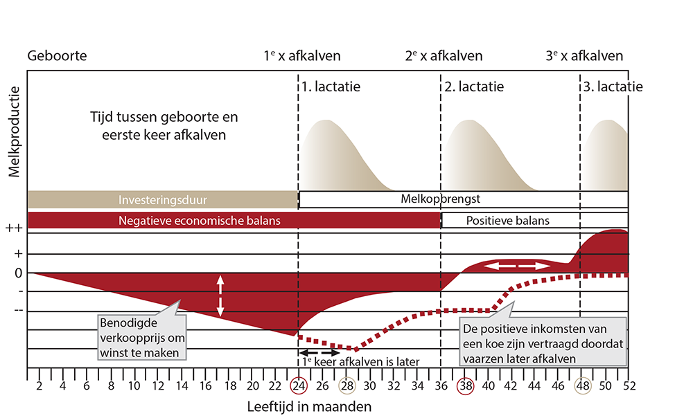 Terugverdientijd_vaars