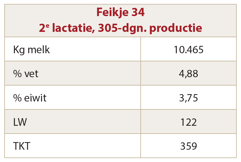 Cijfers_Feikje34
