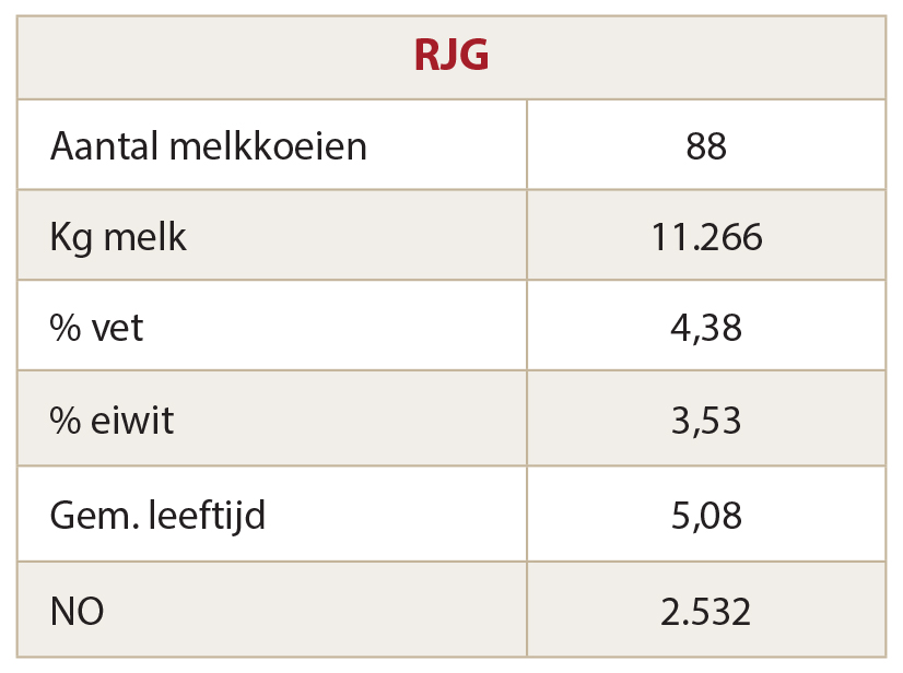 Cijfers_Nijhof