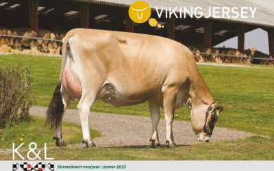 VikingJersey Stierenkaart