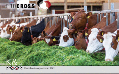 Nieuwe ProCROSS stierenkaart