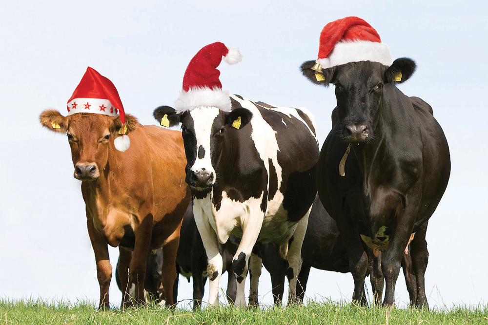 Prettige kerstdagen en een voorspoedig 2026