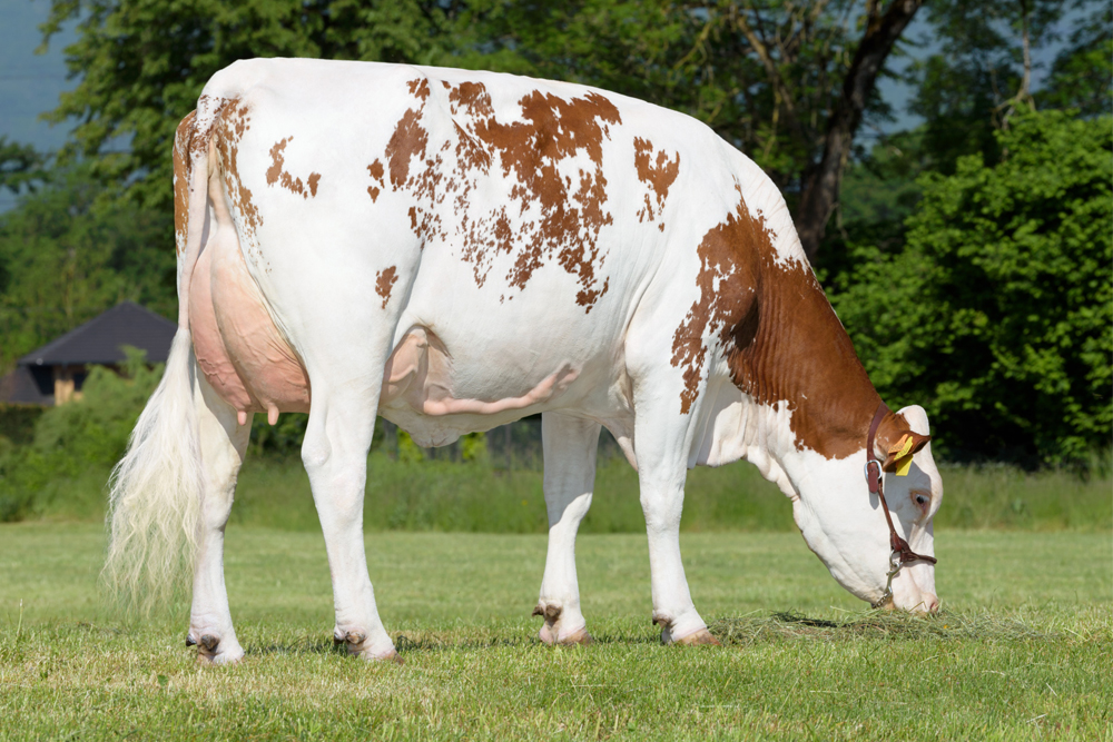 Neutrino_Eiwittopper Neutrino dochter