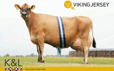 Nieuwe VikingJersey Stierenkaart