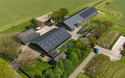 Maximaal rendement én gezonde koeien. Hoe? U hoort het op 3 maart!