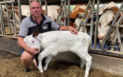 Uitstekende vruchtbaarheid en optimale productie in één koppel, zó pak je dat aan