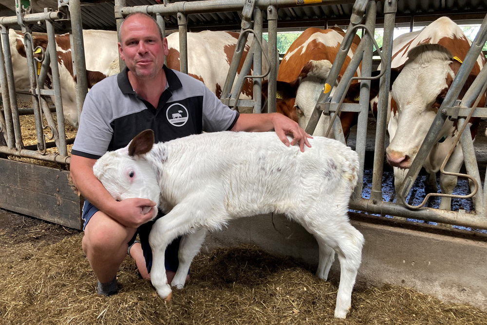 Uitstekende vruchtbaarheid en optimale productie in één koppel, zó pak je dat aan